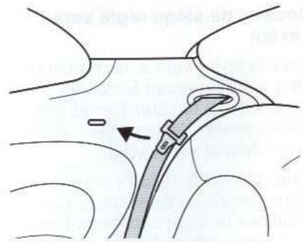 FORD PUMA - Repliage du dossier de siege arriere - 1