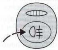 FORD PUMA - Commutateur de feuix arrirée de brouillard - 1