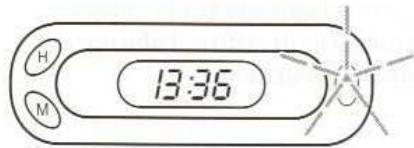 FORD PUMA - Confirmation de l'armement - 1