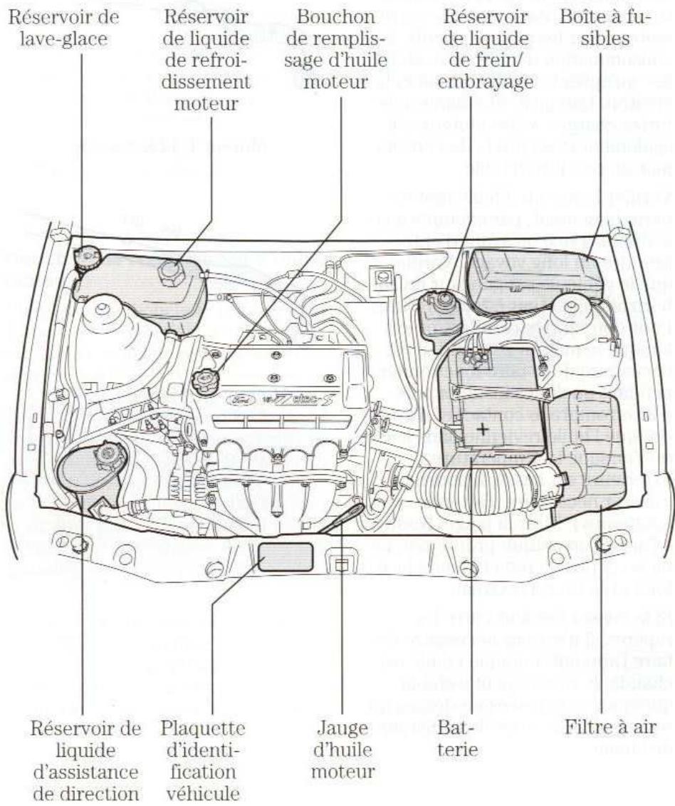 FORD PUMA - Vérification et entretien - 2