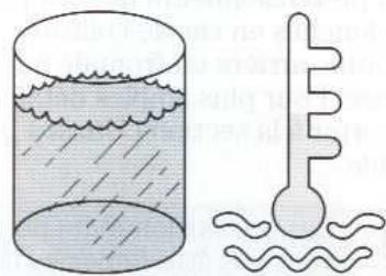 FORD PUMA - Nettoyage des ceintures - 2