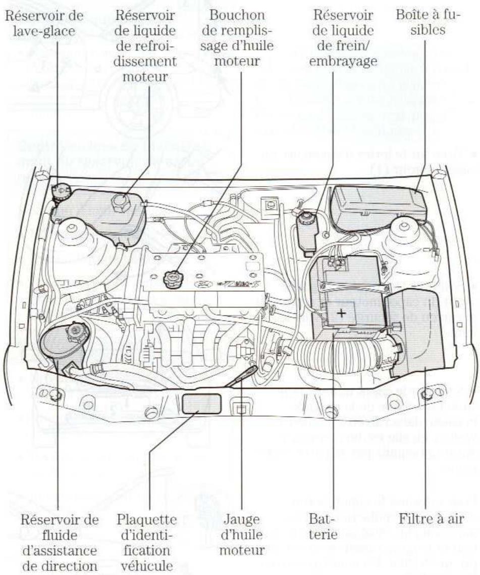 FORD PUMA - Vérification et entretien - 1