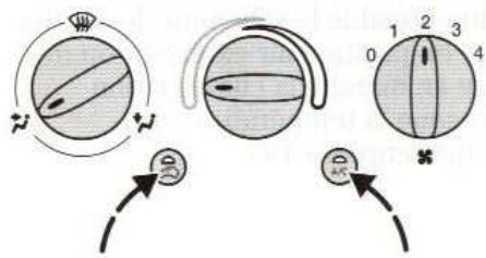 FORD PUMA - Abaisissement de la température avec circulation d'air en circuit fermé - 3