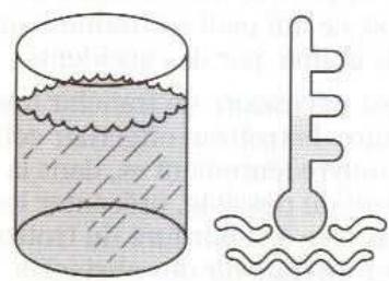 FORD PUMA - Stations de lavage automatique - 1