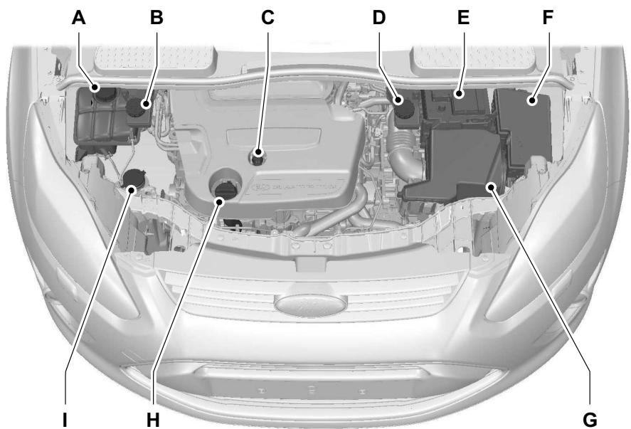 FORD C-MAX 2011 - Entretien - 1