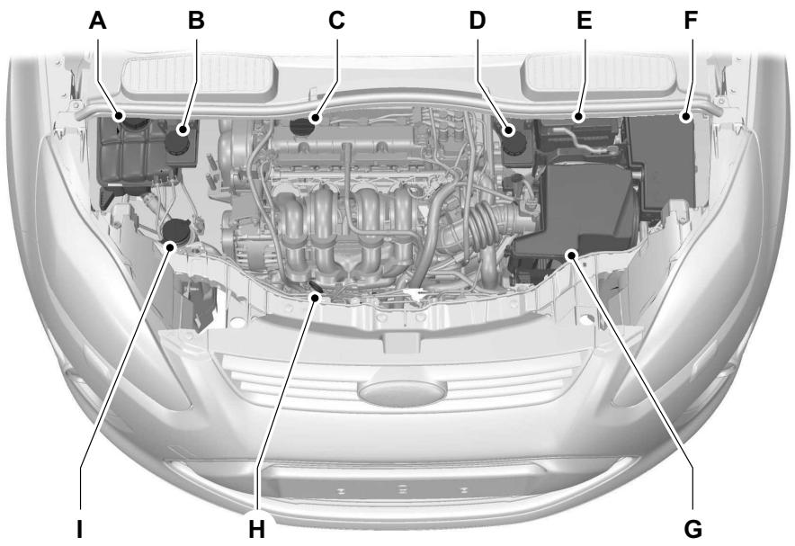 FORD C-MAX 2011 - VUE D'ENSEMBLE SOUS LE CAPOT - 1.6L DURATEC-16V TI-VCT (SIGMA) - 1