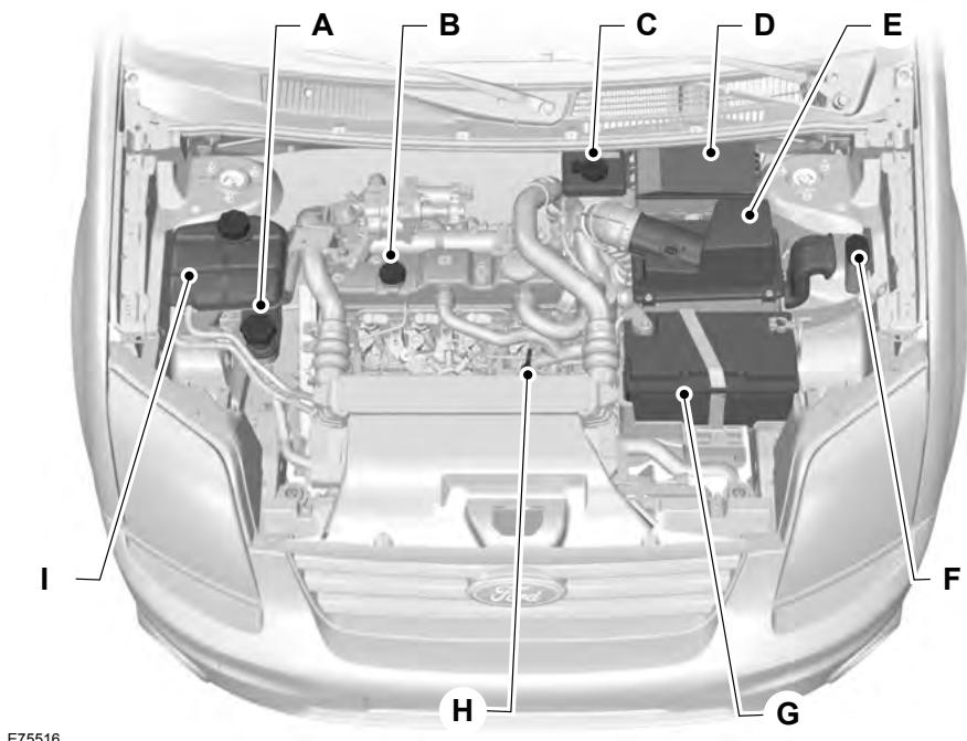 FORD TOURNEO CONNECT 2011 - VUE D'ENSEMBLE SOUS LE CAPOT - 1.8L DURATORQ-TDCI (KENT) DIESEL/1.8L DURATORQ-TDDI (KENT) DIESEL - 1