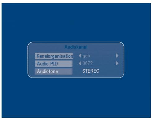 STRONG SRT 6010 - Wahl der Audio-Sprache - 1