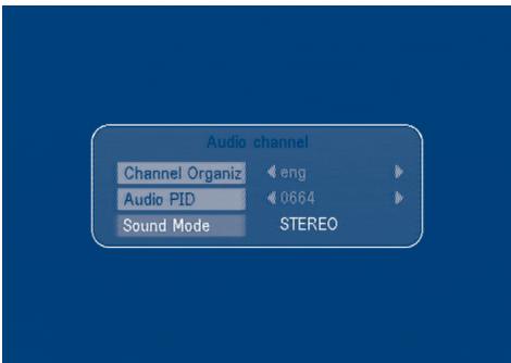 STRONG SRT 6010 - Selection Audio Language - 1