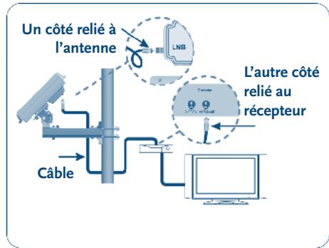 STRONG SLIMSAT SA64 - B- Comment connecter le cable à l'antenne et au récepteur utilisé ? - 2