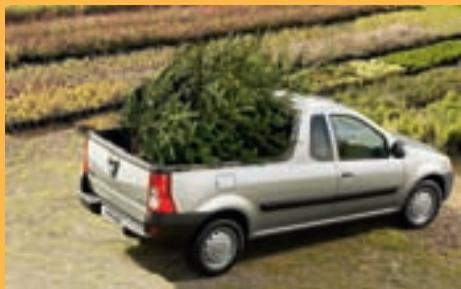 DACIA LOGAN PICK-UP - Demandez-lui le maximum - 4