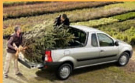 DACIA LOGAN PICK-UP - Demandez-lui le maximum - 3
