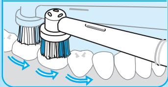 BRAUN ORALB PROFESSIONALCARE 9000 - Technique de brossage - 5