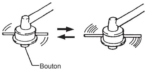 Bouton