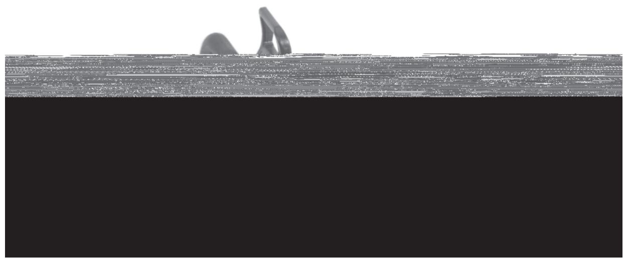 MAKITA DCS540 - Manuel d'emploi et de sécurité de tronconiennes thermiques (page 33 - 63) - 1