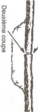 MCCULLOCH MAC 4-18XT - Méthodes de coupure - 2