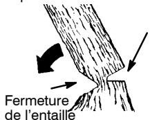 MCCULLOCH 441 - TRAIT D'ABATTAGE ET ABATTA-GE DE L'ARBRE - 2