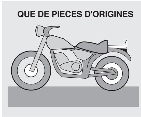 APRILIA ETV MILLE CAPONORD RALLY - DANGER - 2