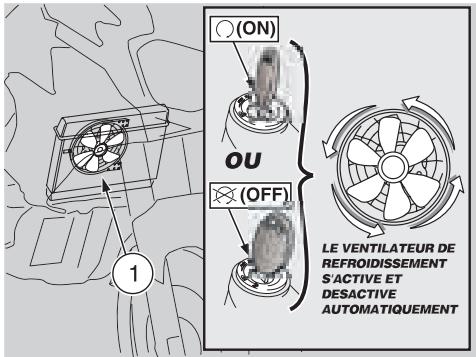 APRILIA ETV MILLE CAPONORD RALLY - Avec le vehicule arrêté : - 1