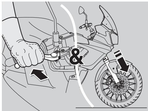 APRILIA ETV MILLE CAPONORD RALLY - DANGER - 5