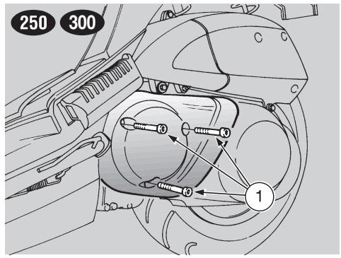 APRILIA LEONARDO 300 - RIMOZIONE - 1