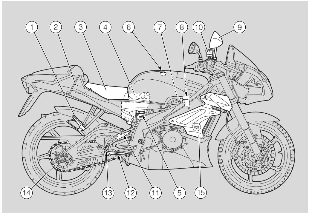 APRILIA RS 125 TUONO - LEGENDA - 1