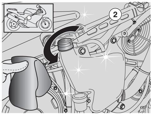 APRILIA RSV 1000R FACTORY - DANGER - 1