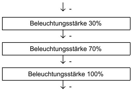 APRILIA RSV 1000R FACTORY - ANZEIGE DER MOMENTANEN, DURCHSCHNITTS-/HOCHSTGESCHWINDIGKEIT UND BATTERIESPANNUNG - 3