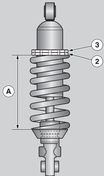 APRILIA TUONO 1000 R - DANGER - 1
