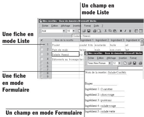 MICROSOFT MISE EN ROUTE DE WORKS 2000 - Ajout d'informations dans une fiche - 2