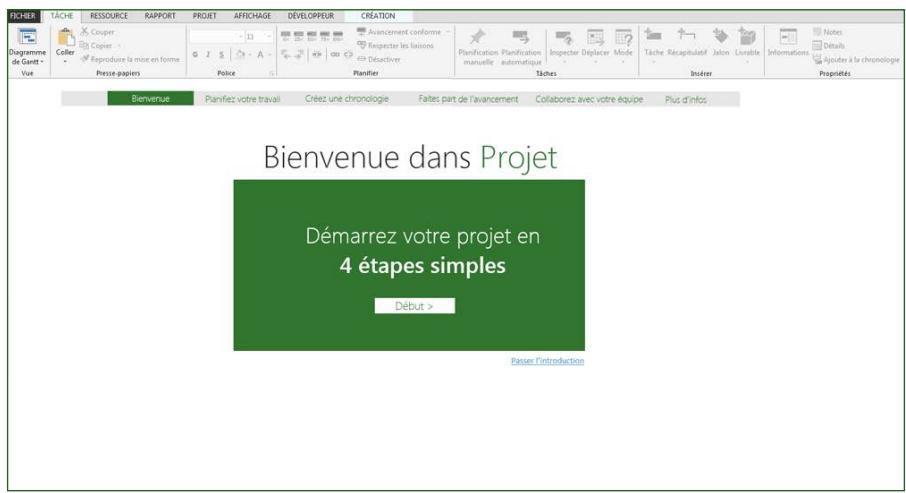 MICROSOFT PROJECT 2010 STANDARD - Une gestion de projet en quatre étapes - 1