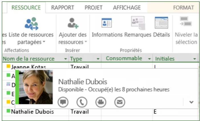 MICROSOFT PROJECT 2010 STANDARD - Parler à votre équipe - 1