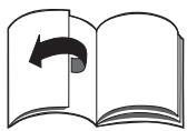 MTD SPK 53 HW - Illustrations - 1