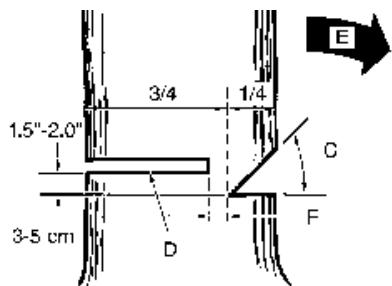 MTD EB356 - WARNING - 2