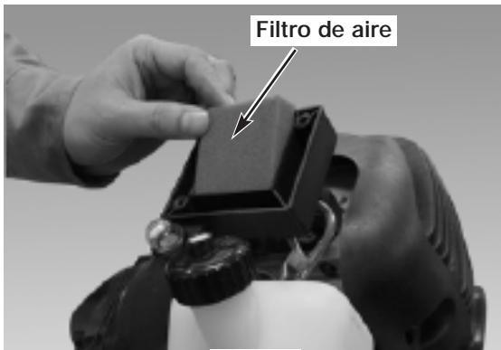 MTD MCT333707 - FILTRO DE AIRE - 3