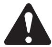 MTD 25P - STAND AS SHOWN (FIG. 9) AND CHECK THE FOLLOWING: - 1