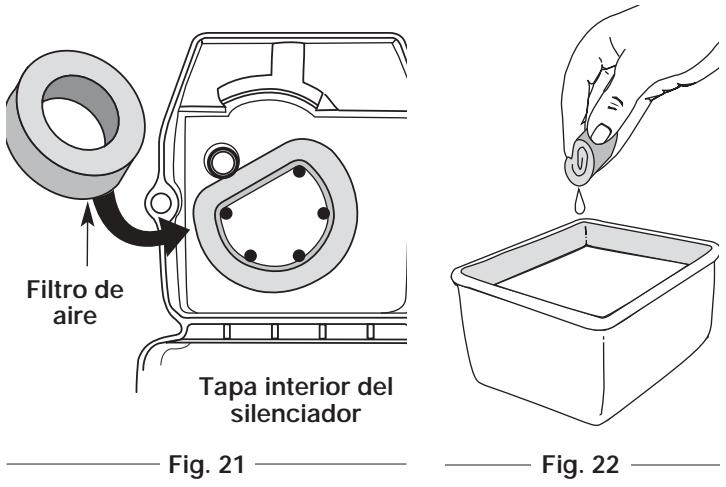 MTD RGBV3100 - Limpieza del Filtro de Aire - 1