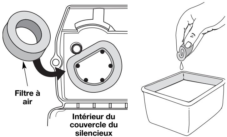 MTD TB10CS - Nettoyage du filtre à air - 1