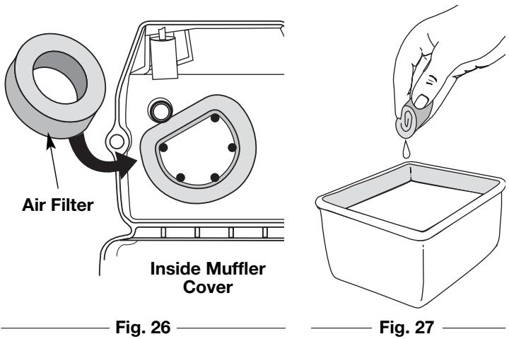 MTD TB10CS - Cleaning the Air Filter - 1