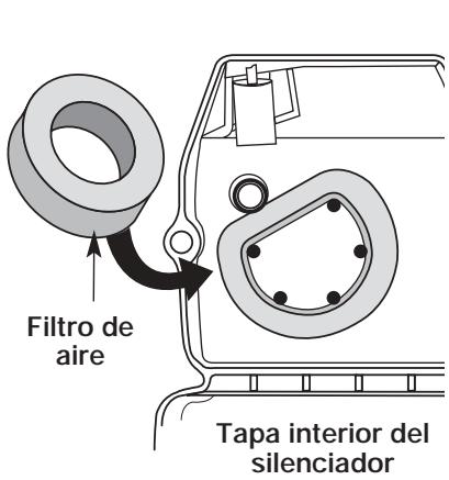 MTD TB15CS - Limpieza del Filtro de Aire - 1
