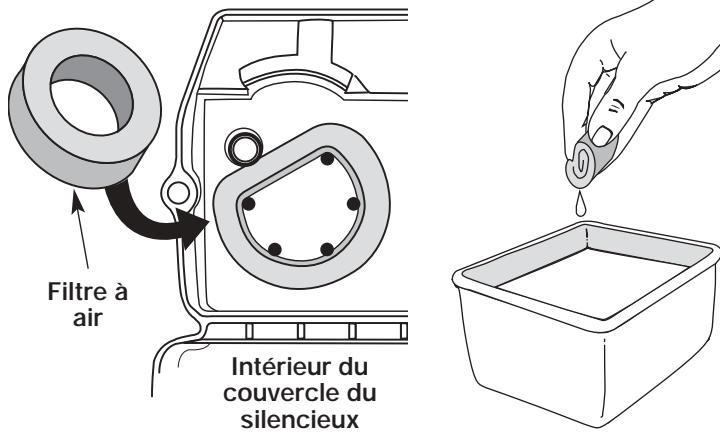 MTD TB25CS - Nettoyage du filtre à air - 1