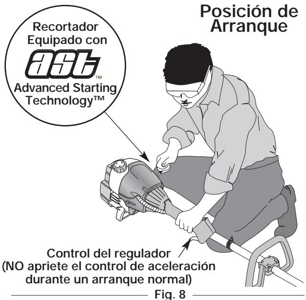 MTD TB25CS - INSTRUCCIONES DE ARRANQUE - 3