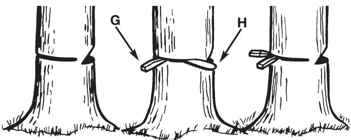 MTD TB3516 - Felling Cut: - 2