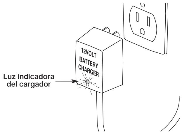 MTD TB55B - CARGA DE LA UNIDAD - 3
