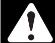 MTD TB575SS - CALIFORNIA PROPOSITION 65 WARNING - 1