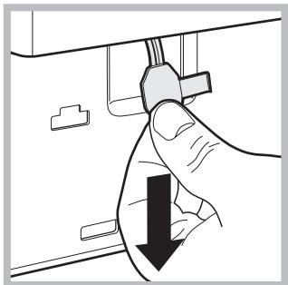 HOTPOINT-ARISTON AQ9D 69 U - Opening the porthole door manually - 3