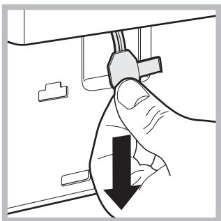 HOTPOINT-ARISTON AQXGF 169 - Handmatige opening van het deurtje - 4