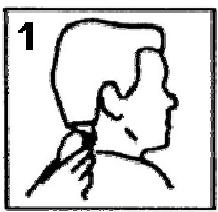 LISTO TC L2 - Utilisation de la tondeuse avec un guide de coupe - 1