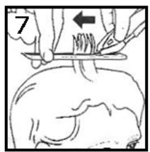 LISTO TC L2 - ATTENTION RISQUE DE COUPURE : LA TETE PORTE GUIDE DE COUPE EST TRES TRANCHANTE. MANIPULEZ-LA AVEC BEAUCOUP DE PRECAUTION. - 3