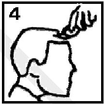 LISTO TC L2 - Utilisation de la tondeuse avec un guide de coupe - 4